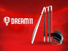 IPL 2020: Dream11 gets title sponsorship rights 