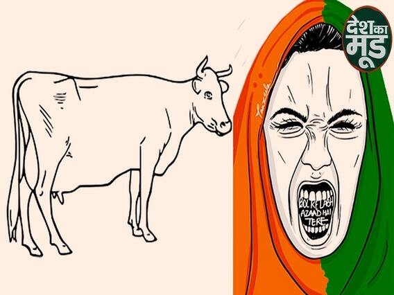 From a 'Gau Rakshak' to Shaheen Bagh, What Is The Meaning Of Azadi? | ABP Uncut | Desh Ka Mood