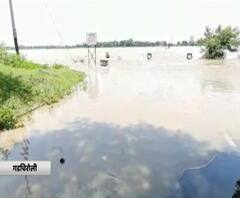 Gadchiroli Flood Situation | गडचिरोलीत पावसाचं धूमशान; नदी नाल्यांना पूर, जनजीवन विस्कळीत
