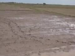  ગાંધીનગરઃ જમીન માપણી માટે IORA પોર્ટલ પરથી કરી શકાશે ઓનલાઇન અરજી