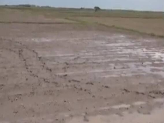  ગાંધીનગરઃ જમીન માપણી માટે IORA પોર્ટલ પરથી કરી શકાશે ઓનલાઇન અરજી