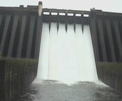 Satara Rain | Koyna Dam | कोयना धरणाच्या सहा दरवाजांतून 56 हजार क्युसेकने पाण्याचा विसर्ग