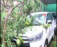 Mumbai Rain | मुसळधार पावसाचा मंत्री सुनील केदार यांनाही फटका; घरावर झाड कोसळलं, वाहनाचंही नुकसान