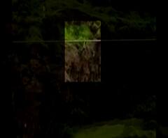 Auranganad rape suspect suicide |औरंगाबाद बलात्कारप्रकरणी एका संशयिताची डोंगरावरून उडी घेत आत्महत्या