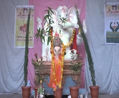 Bappa Majha 2020 | आली गौराई... राज्यभरातील गौरी उत्सवाची अनोखी परंपरा