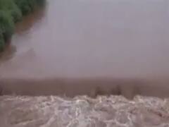 અરવલ્લી: ભિલોડામાં 3.5 ઈંચ વરસાદ, હાથમતી, બુઢેલી નદીમાં નવા નીર, જુઓ વીડિયો 