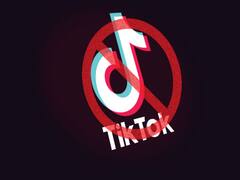 America bans use of TikTok for government employees