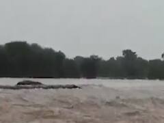 નવસારીમાં ગણદેવીનો દેવધા ડેમ ઓવરફ્લો થયો, જુઓ ડ્રોન વીડિયો