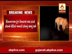 સાબરકાંઠા જિલ્લામાં કોઇ વાઘ ન હોવાની વન વિભાગની પુષ્ટી, જુઓ વીડિયો