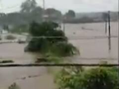 છેલ્લા 24 કલાકમાં દક્ષિણ ગુજરાતમાં સૌથી વધુ વરસાદ, ક્યાં કેટલો ખાબક્યો ? જુઓ વીડિયો 