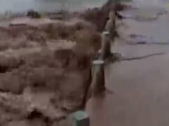 નર્મદાઃ સાગબારા તાલુકામાં અંબિકા નદી બે કાંઠે, સેલંબાનો લો લેવલ પુલ પાણીમાં થયો ગરકાવ 