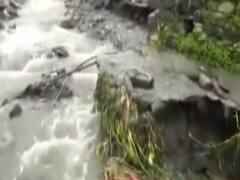 देखिए आज के Viral Videos