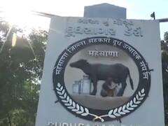 મહેસાણા: દૂધસાગર ડેરીએ મિલ્ક માર્કેટિંગ ફેડરેશનના આદેશ બાદ પણ જીસી મશીન ન વસાવ્યાનો આરોપ