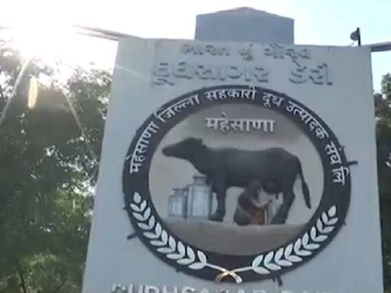 મહેસાણા: દૂધસાગર ડેરીએ મિલ્ક માર્કેટિંગ ફેડરેશનના આદેશ બાદ પણ જીસી મશીન ન વસાવ્યાનો આરોપ