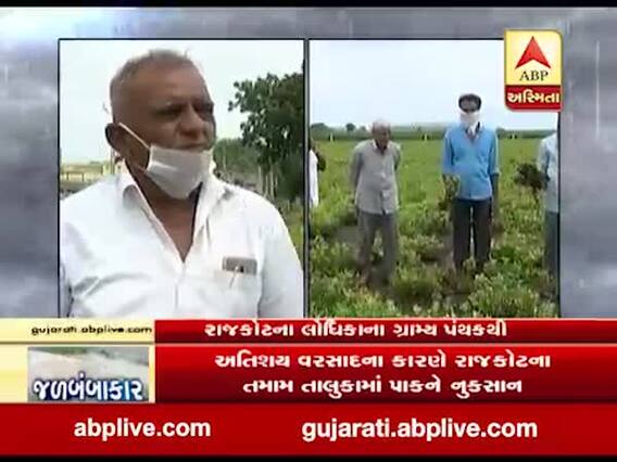 અતિશય વરસાદના કારણે રાજકોટના લોધિકા, કોટડા સાંગાણી તાલુકામા ખેડૂતોને ભારે નુકસાન