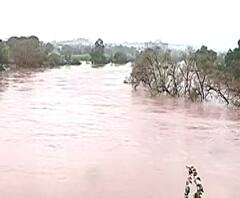 Kolhapur Rain Update | कोल्हापूर शहरात पावसाचा जोर कायम, गेल्या वर्षीच्या पुराच्या आठवणी ताज्या
