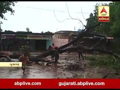 જૂનાગઢના વિસાવદર રોડ પર વૃક્ષ ધરાશાયી થતા રસ્તો બંધ 