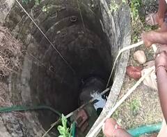 Nagpur Death | विहिरीत पडलेला उंदीर बाहेर काढायला गेलेल्या तीन मजुरांचा विषारी वायूने गुदमरुन मृत्यू