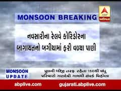 નવસારીના રેલવે કોરિડોરના બાગાયતના બગીચામાં ફરી વળ્યા પાણી, જુઓ વીડિયો