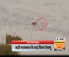 टापू में फंसे दो युवक,यमुना नदी का जलस्तर बढ़ने से फंसे