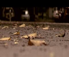 কাটবে অস্বস্তি, কলকাতা-সহ বিভিন্ন জেলায় আগামী কয়েক ঘণ্টার মধ্যেই বৃষ্টির পূর্বাভাস