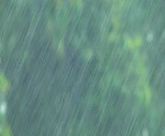 Rural News | माझं गाव माझा जिल्हा | राज्याच्या कानाकोपऱ्यातील बातम्यांचा आढावा