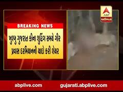 મહાનાયક અમિતાભ બચ્ચને સોશિયલ મીડિયામાં ગીરની યાદો કરી શેર, જુઓ વીડિયો 