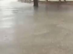 સુરેન્દ્રનગરઃ રતનપુર, જોરાવરનગર સહિતના વિસ્તારોમાં વરસાદ, જુઓ વીડિયો