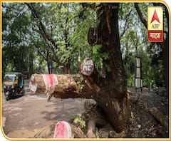 Aarey Metro Carshed | आरे कॉलनीतील मेट्रो कारशेड पहाडी भागात स्थलांतरित होणार?सरकारी पातळीवर हालचाली