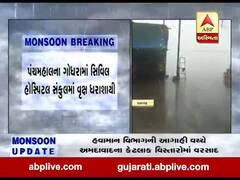 પંચમહાલના ગોધરામાં સિવિલ હોસ્પિટલ સંકુલમાં વૃક્ષ ધરાશાયી, જુઓ વીડિયો 