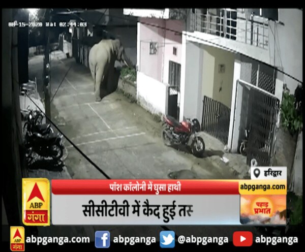 ABP News ABP News