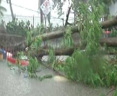 Mumbai Rains | मुंबईत बुधवारी एकाच दिवसात 328 मिमी पावसाची नोंद; NDRF कडून 290 प्रवाशांची सुटका 