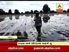 પાટણના સમી તાલુકાના નાના જોરાપુરા કેનાલ થઇ ઓવરફ્લો, આસપાસના ખેતરોમાં ભરાયા પાણી