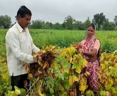 शेती जगत | शेती क्षेत्रातील घडामोडींचा वेगवान आढावा | गावागावात काय आहे शेतीची परिस्थिती? 