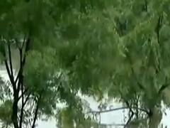  આણંદઃ ધોધમાર વરસાદથી મોગરી ગામનું તળાવ ઓવરફ્લો, રસ્તા પર ભરાયા પાણી