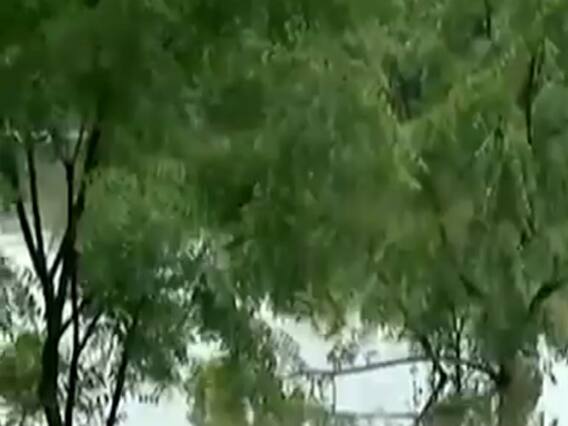  આણંદઃ ધોધમાર વરસાદથી મોગરી ગામનું તળાવ ઓવરફ્લો, રસ્તા પર ભરાયા પાણી