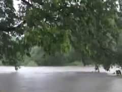 નવસારીઃ અમલસાડના બાગાયતી પાકને નુકસાન,રેલવે કોરિડોરના કારણે ખેતરોમાં પાણી ભરાયાનો આરોપ