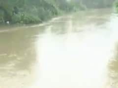 વડોદરામાં વિશ્વામિત્રી નદીની જળ સપાટી 23.75 ફૂટ પર પહોંચી, જુઓ વીડિયો