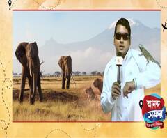 সিংহের ছানার সঙ্গে খেলা, জঙ্গলের গভীরে বিগ ফাইভের খোঁজ – দেখুন ‘আনন্দ সফর’ 