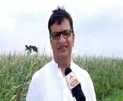 Balasaheb Thorat | ऑगस्ट अखेरीस स्टँम्प ड्युटीत कपात करण्याची शक्यता : बाळासाहेब थोरात