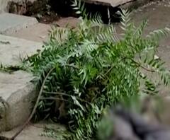 Rural News | बेपत्ता कोरोना रुग्णाचा मृतदेह रस्त्यावर आढळला | माझं गाव माझा जिल्हा