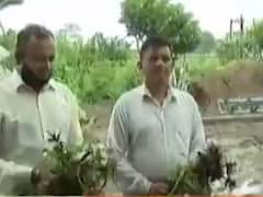 રાજકોટ: ખેતરોમાં પાણી ભરાતા કપાસ અને મગફળીના પાકને નુકસાનની આશંકા, જુઓ વીડિયો 