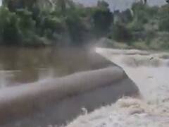 ગીર સોમનાથના ઘાટવડ ગામે આવેલો રૂદ્રેશ્વર ચેકડેમ ઓવરફ્લો થયો