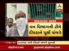 ભરૂચઃ કરજણ ગામે વન વિભાગની ટીમે દીપડાને પાંજરે પૂર્યો, જુઓ વીડિયો 