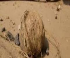 বীরভূমের পাড়ুই ও নানুরে উদ্ধার তাজা বোমা, তদন্তে পুলিশ