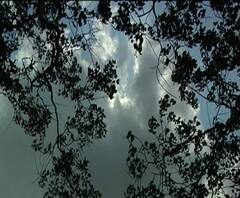 নিম্নচাপ সরলেও সক্রিয় মৌসুমী বায়ুর, কলকাতা ও জেলায় বৃষ্টি চলবে কি?