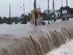 રાજકોટના ગ્રામ્ય વિસ્તારોમાં ધોધમાર વરસાદ, જુઓ વીડિયો