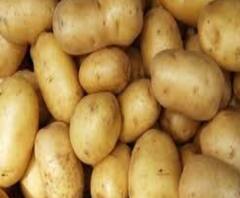 চড়চড়িয়ে বাড়ছে আলুর দাম, ‘চাহিদার তুলনায় যোগান কম’, বলছে টাস্ক ফোর্স 