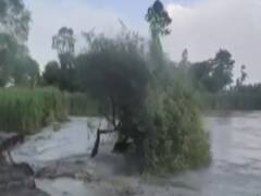 Saryu embankments collapse, flood danger looms large over Gonda villages