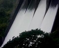 Sangli Chandoli Dam | सांगलीच्या चांदोली धरण परिसरात अतिवृष्टी, धरणातून 4400 क्युसेक पाण्याचा विसर्ग